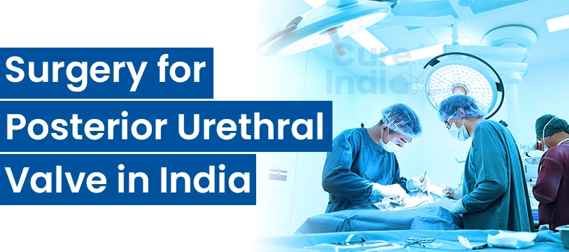 Posterior Urethral Valve Treatment in India